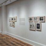 pexels-prismattco-2372935